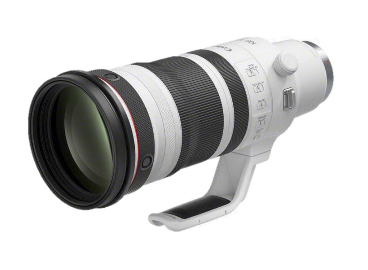 Canon EOS R1 Body + RF 100-300/2,8 | Monsterzoom-Bundle