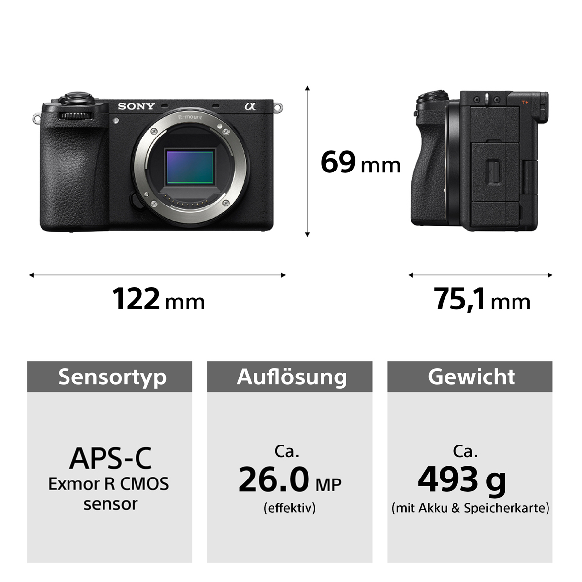 Sony Alpha ILCE-6700 Kit SEL1650II+SEL70350G schwarz Wildlife-Bundle