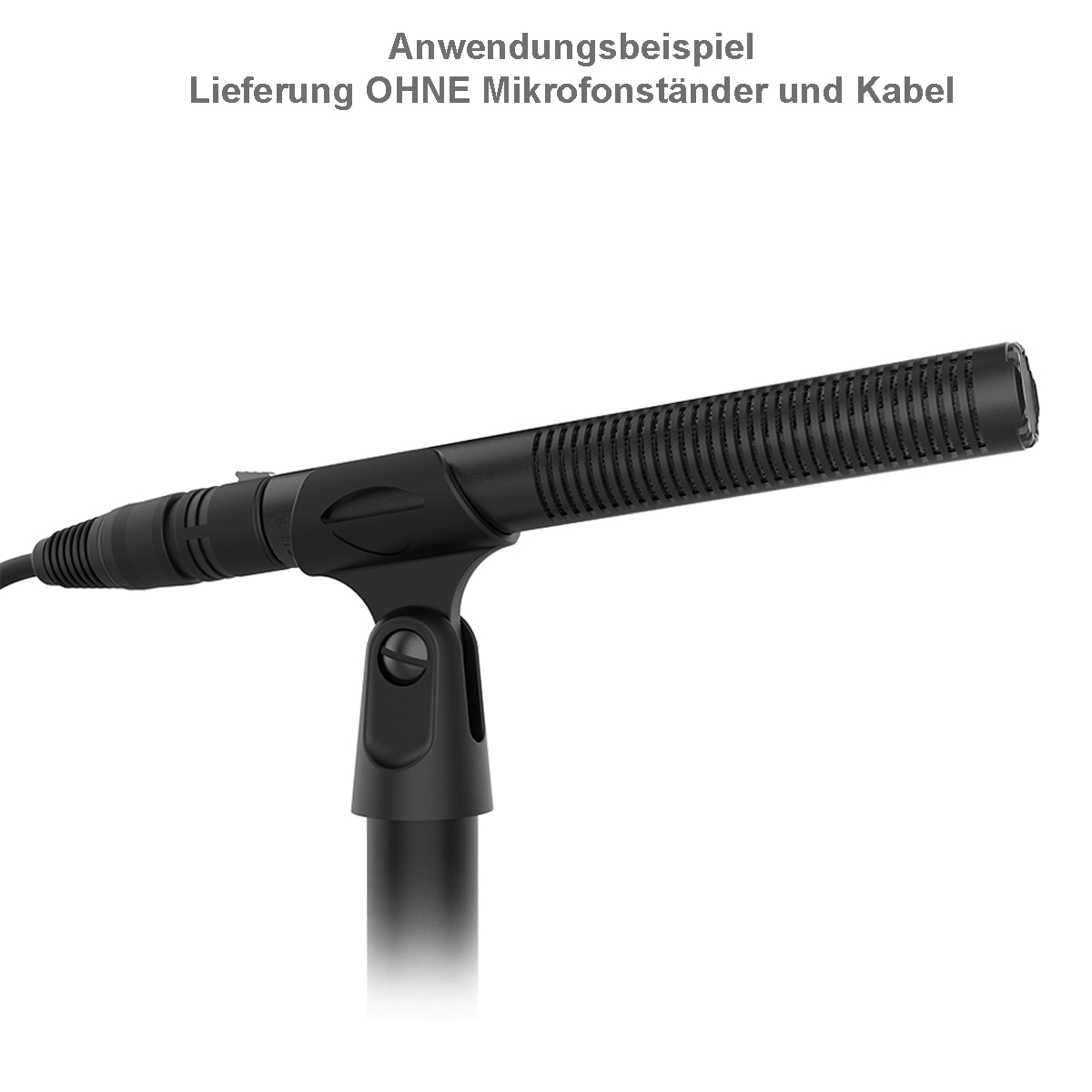 Deity S-Mic 3S kompaktes Prof. Richt- Mikrofon