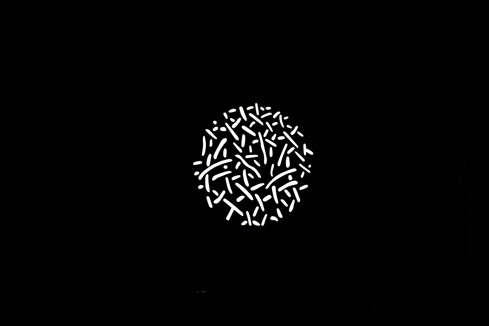 4001072038126