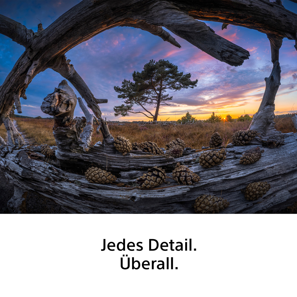 Sony FE 8-14mm/3,5 Fisheye G Objektiv