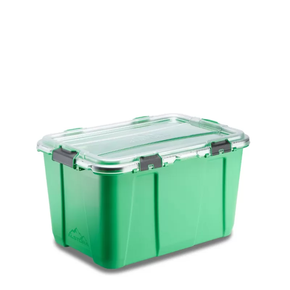 Alstora Container Set Grass-Grün