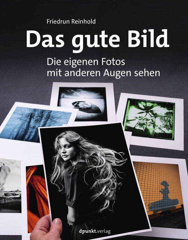 Buch - Das gute Bild - Friedrun Reinhold