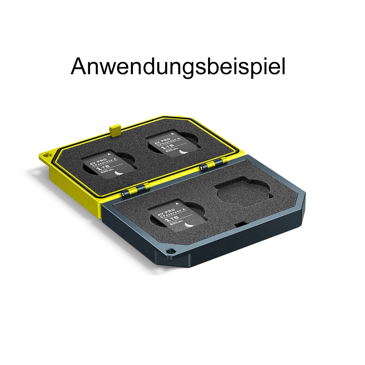 9120056586141
