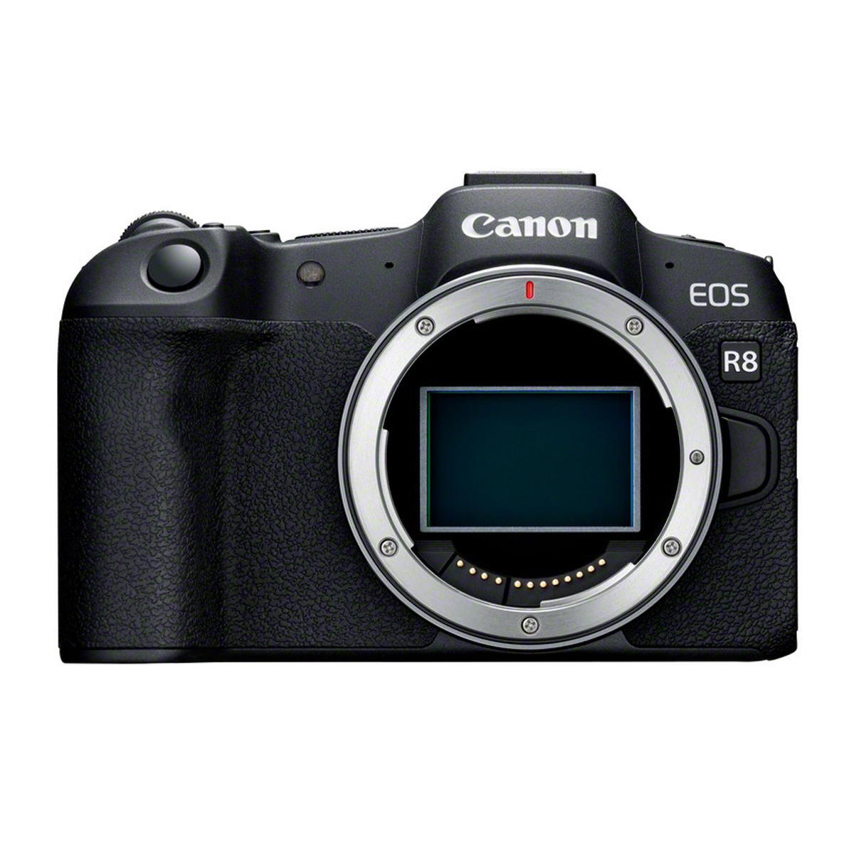 Canon EOS R8 Body + RF 16-28mm/2.8 | Ultraweitwinkel-Reise-Bundle
