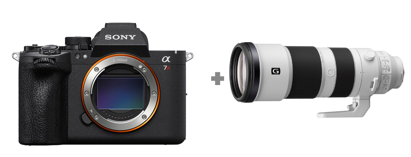 Sony Alpha 7R VI + FE 200-600 mm f/5.6-6.3 G | Wildlife & Nature Bundle
