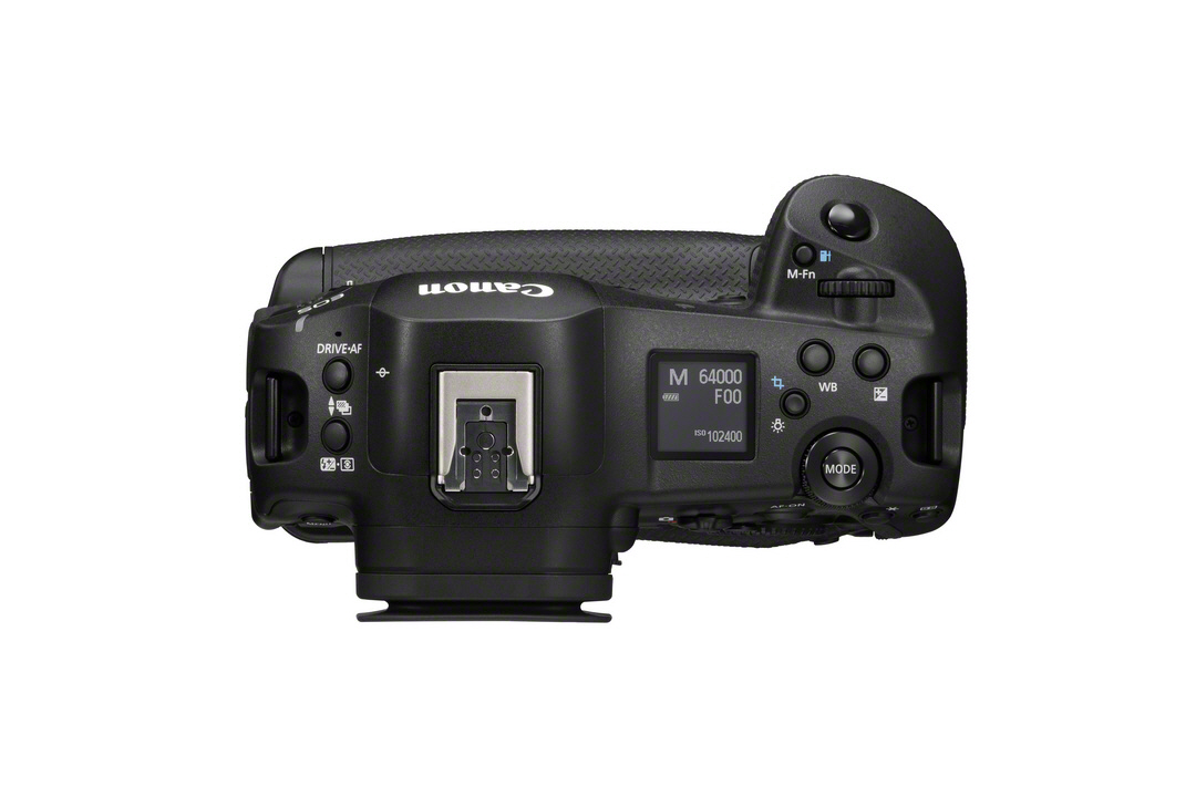 Canon EOS R1 Body + RF 100-300/2,8 | Monsterzoom-Bundle