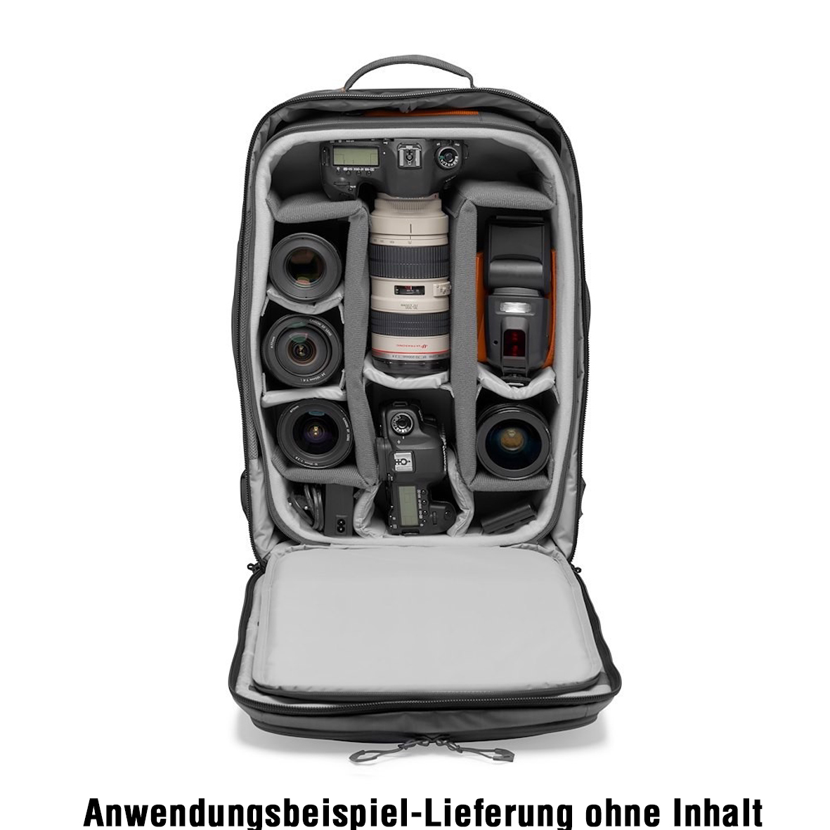 8024221726282