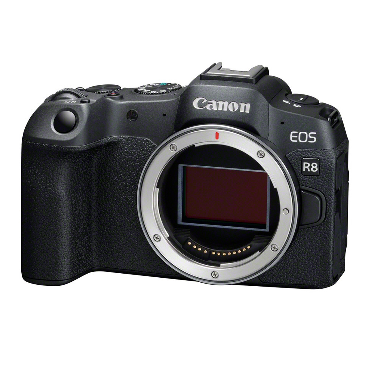 Canon EOS R8 Body + RF 16-28mm/2.8 | Ultraweitwinkel-Reise-Bundle