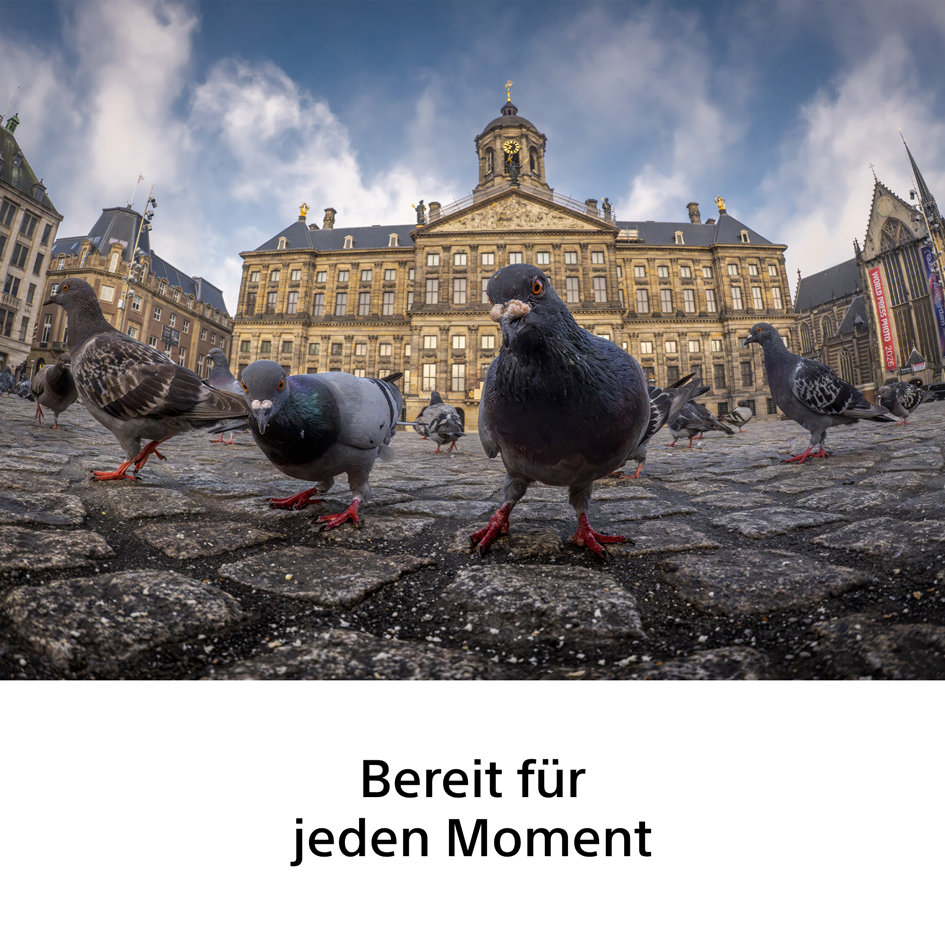 Sony FE 8-14mm/3,5 Fisheye G Objektiv
